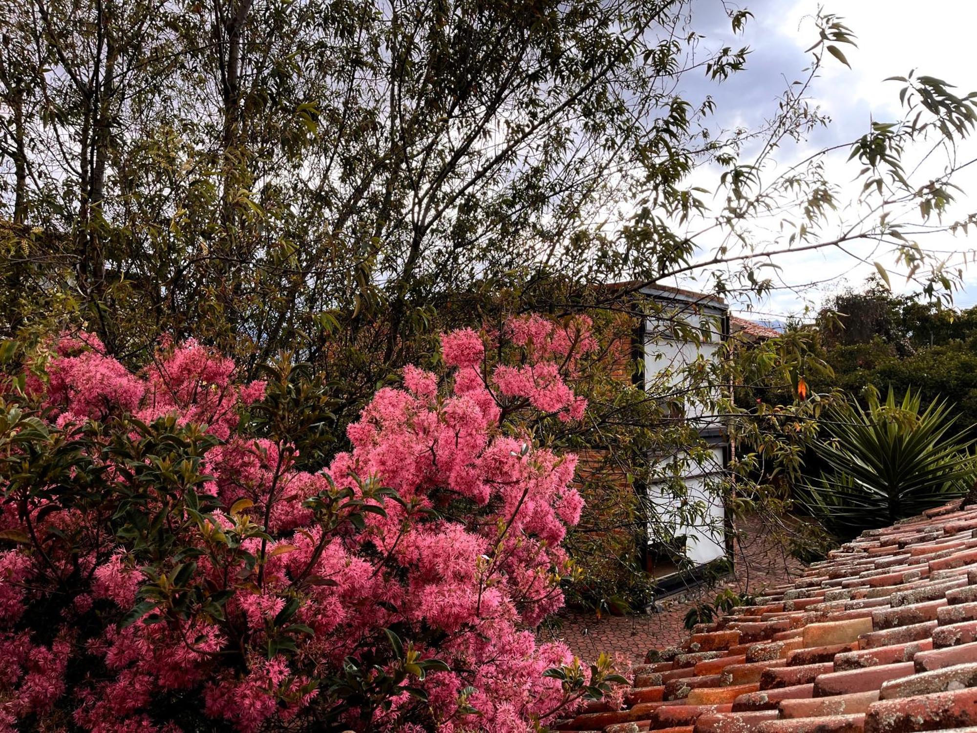 Casa Lloret Cuenca Exterior foto